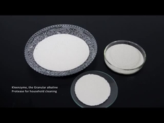 Detergent de cellulaseamylase van de enzymprotease