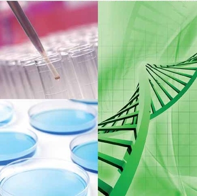 Goede prijs. Hef Uw Biorefinery-Verrichtingen met de Veelzijdigheid van CALB-Enzymtechnologie op online