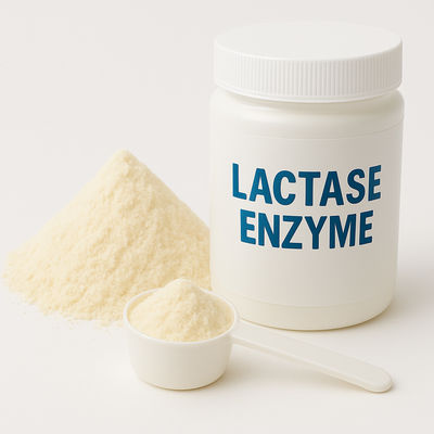 Goede prijs. Beta-galactosidase-enzym Lactasevervanger voor lactosevrije zuivelproducten Voedselenzymen online