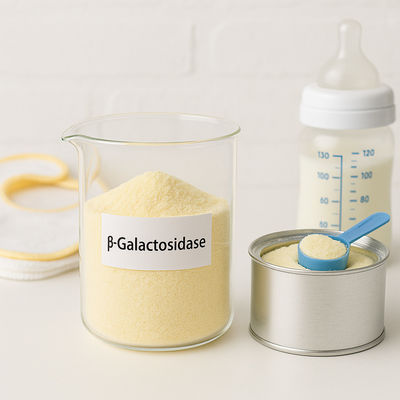 Goede prijs. Lichtgeel poeder lactosevrije zuivelyoghurt gemakkelijk te hanteren en handig online