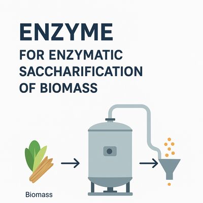 Goede prijs. Alcohol-enzymvoorziening voor alcoholafbraak en verbeterde katalytische activiteit voor biotechnologische processen online
