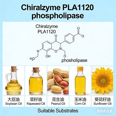 Goede prijs. Chiralzyme PLA1120 | Hoog-efficiënte Fosfolipase A1 voor Oliedegommering | KDN online