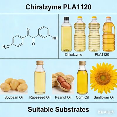 Goede prijs. Chiralzyme PLA1120 Een voedsel-grade enzym voor kosteneffectieve olie raffinage online