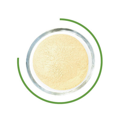 Goede prijs. Van de de Cellulasewas van Trichodermareesei het Poeder Microbiële Enzymen in Textielindustrie online