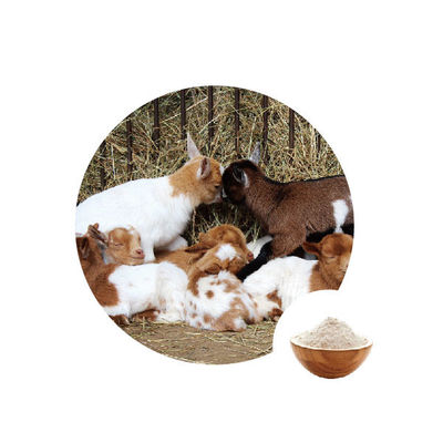 Goede prijs. De Oxydase van de Additief voor levensmiddelenglucose de EG Nummer 1.1.3.4 online