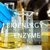 Goede prijs. De Gekatalyseerde Omzetting van ISO Lipase van Afval Tafelolie in Biodiesel online