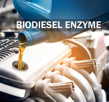 Goede prijs. Het verbeteren van het Enzym van de Stabiliteitslipase voor Betere Biodieselopbrengst en Kwaliteit online
