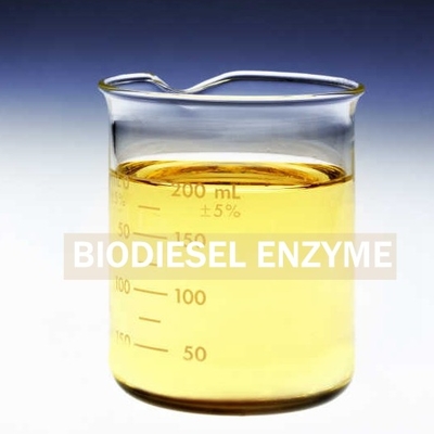 Goede prijs. Geproduceerd Biosurfactants-Lipaseenzym voor Betere Biodieselterugwinning online