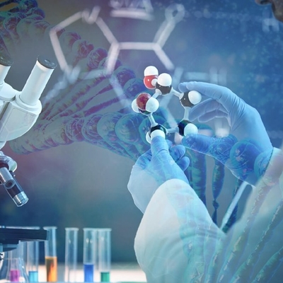 Goede prijs. Krijg voor de Concurrentie: Het uitrusten van het Volledige Potentieel van Candida Antarctica Lipase B online