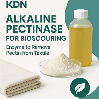 Goede prijs. Efficiënt, economisch en milieuvriendelijk: uw partner bij het bio-spoelen van alkalische pectinase online