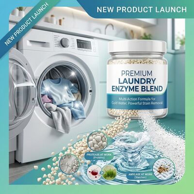 Goede prijs. Koudwateractief wasmiddelenzymenmengsel alkalische protease-amylase voor wassen op lage temperatuur online