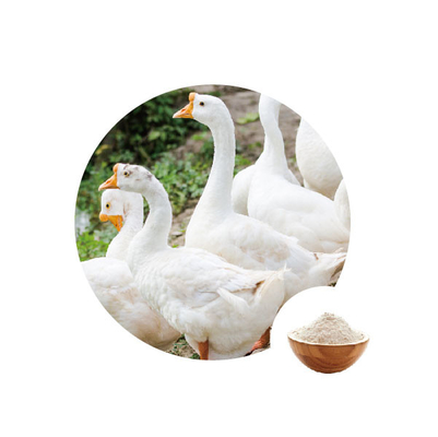 Goede prijs. Brood die Glucoseoxydasen in van het het Gevogeltevoer van de Bloemtarwe de Enzymen Cas 9001-37-0 maken online